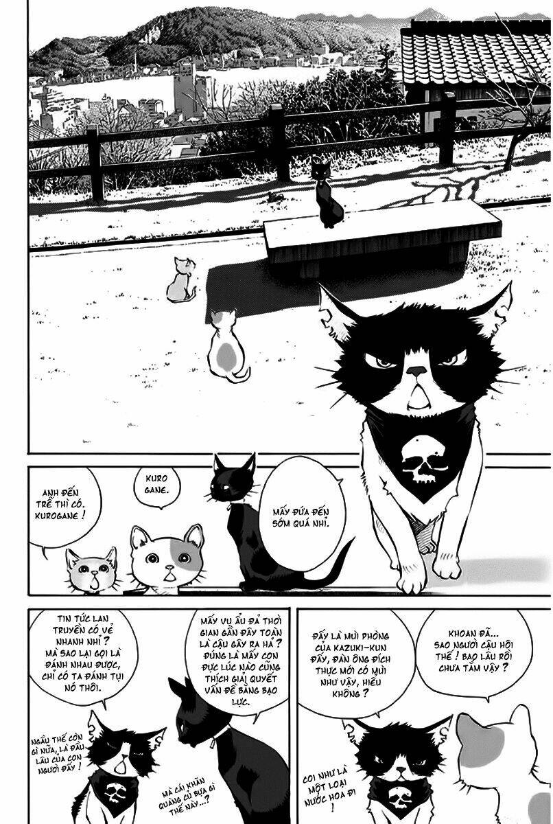 Pastel Chapter 150 - TC Truyện