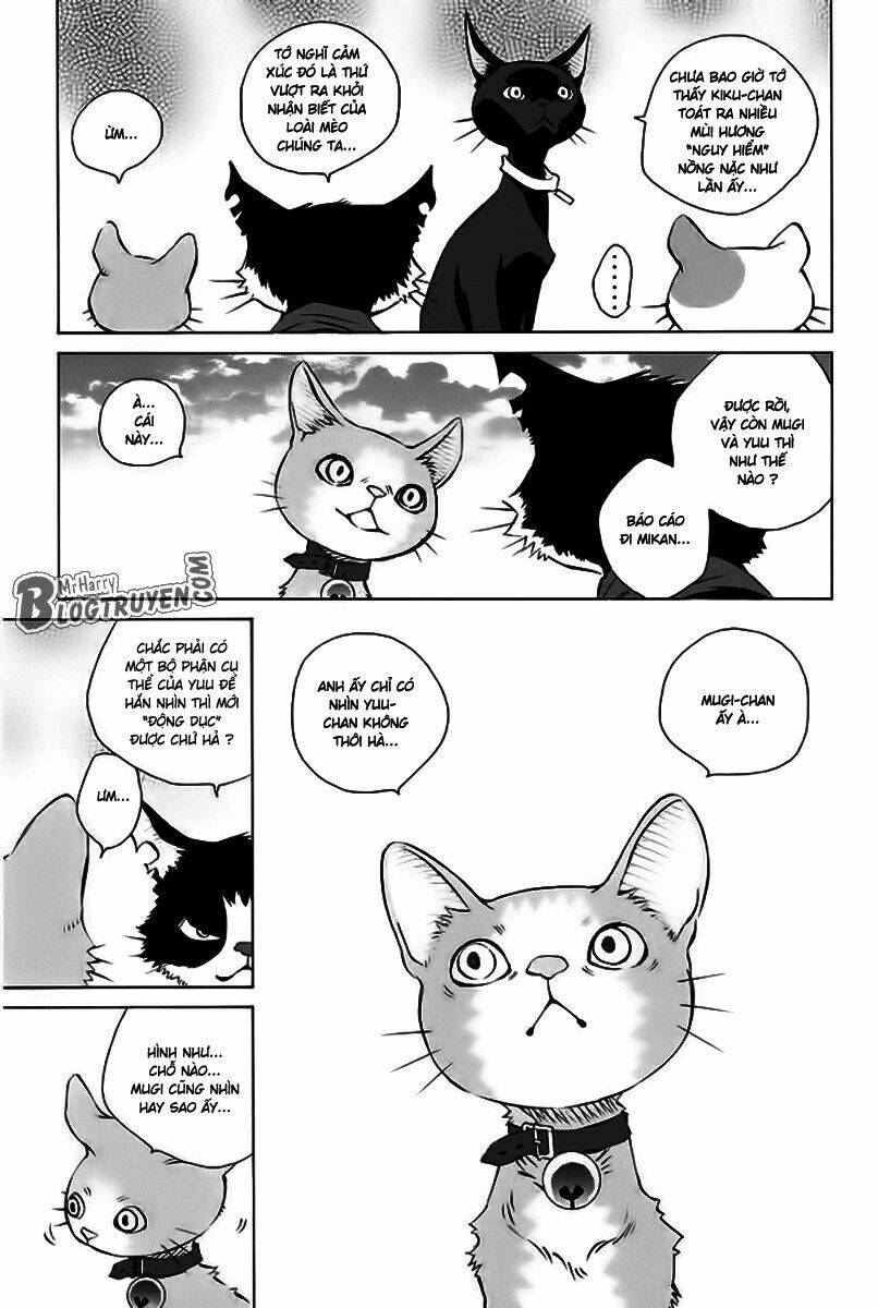 Pastel Chapter 156 - TC Truyện