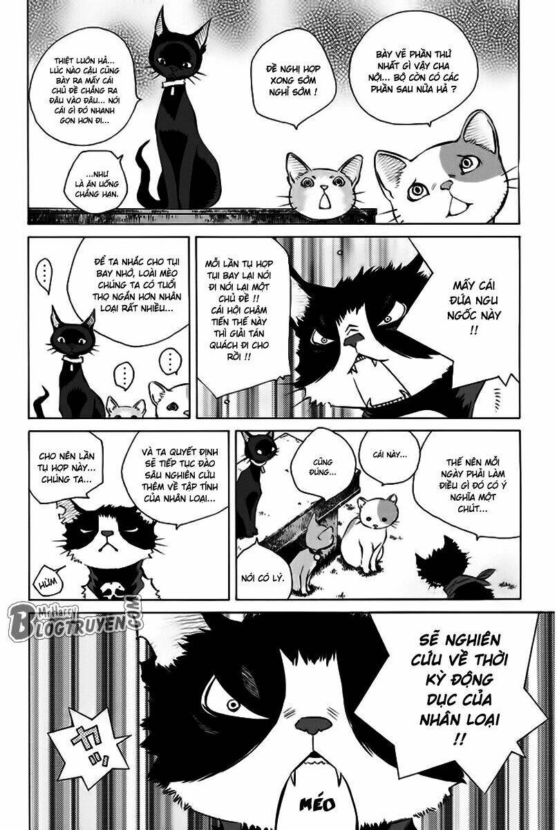 Pastel Chapter 156 - TC Truyện