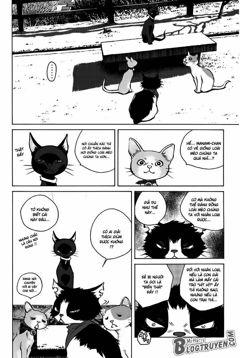 Pastel Chapter 156 - TC Truyện