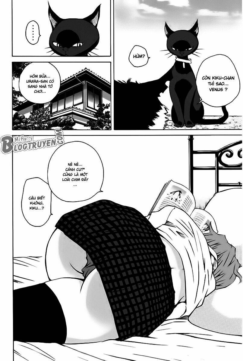 Pastel Chapter 156 - TC Truyện