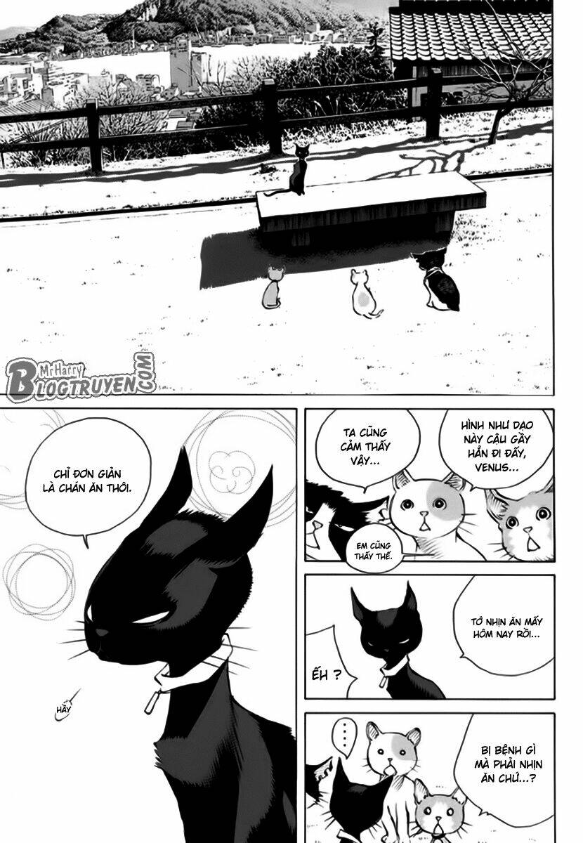 Pastel Chapter 162 - TC Truyện
