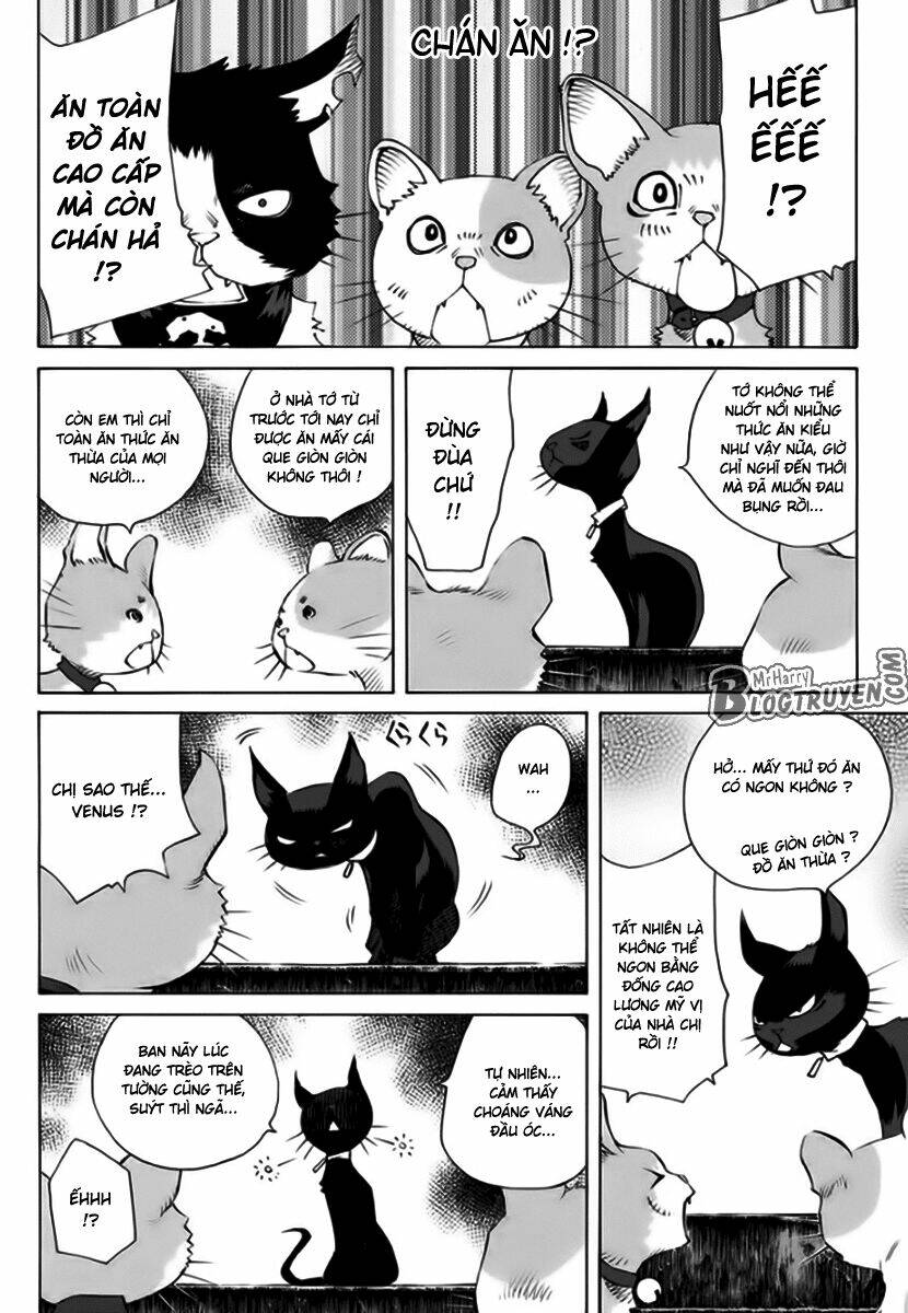 Pastel Chapter 162 - TC Truyện