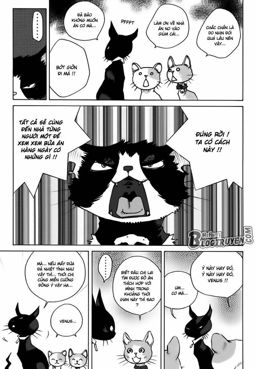 Pastel Chapter 162 - TC Truyện