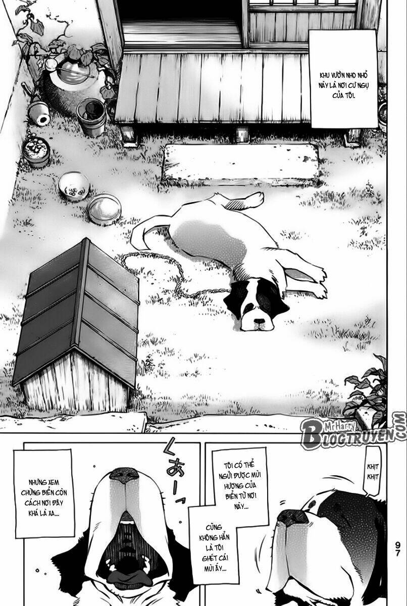 Pastel Chapter 166 - TC Truyện