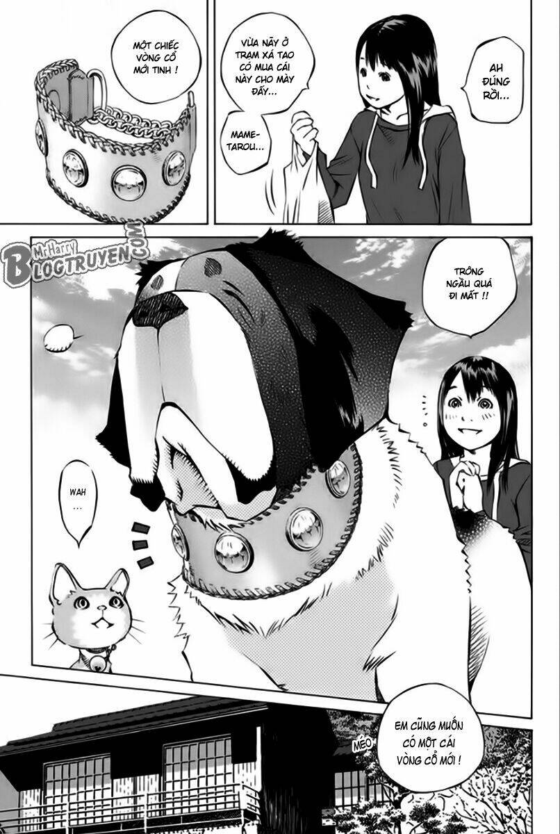 Pastel Chapter 166 - TC Truyện