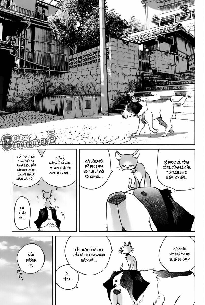 Pastel Chapter 166 - TC Truyện