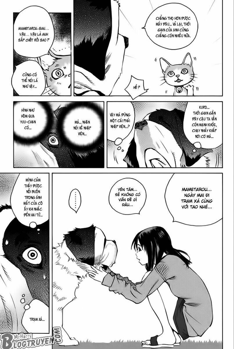 Pastel Chapter 166 - TC Truyện