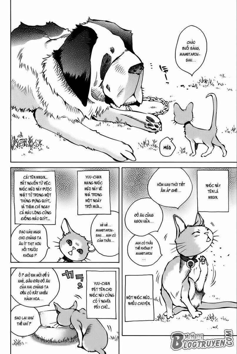 Pastel Chapter 166 - TC Truyện