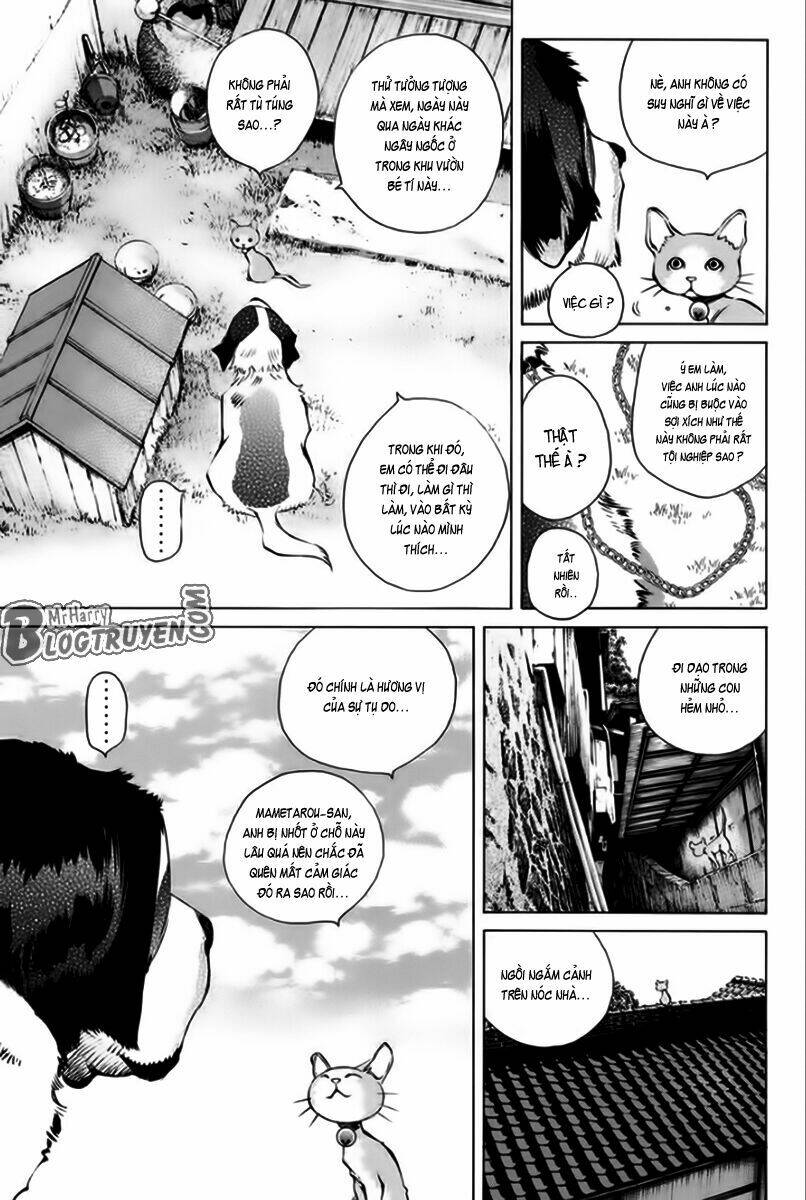 Pastel Chapter 166 - TC Truyện