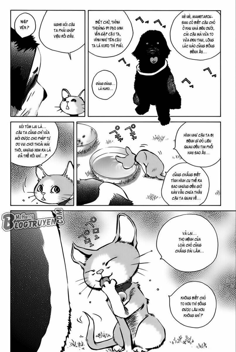 Pastel Chapter 166 - TC Truyện