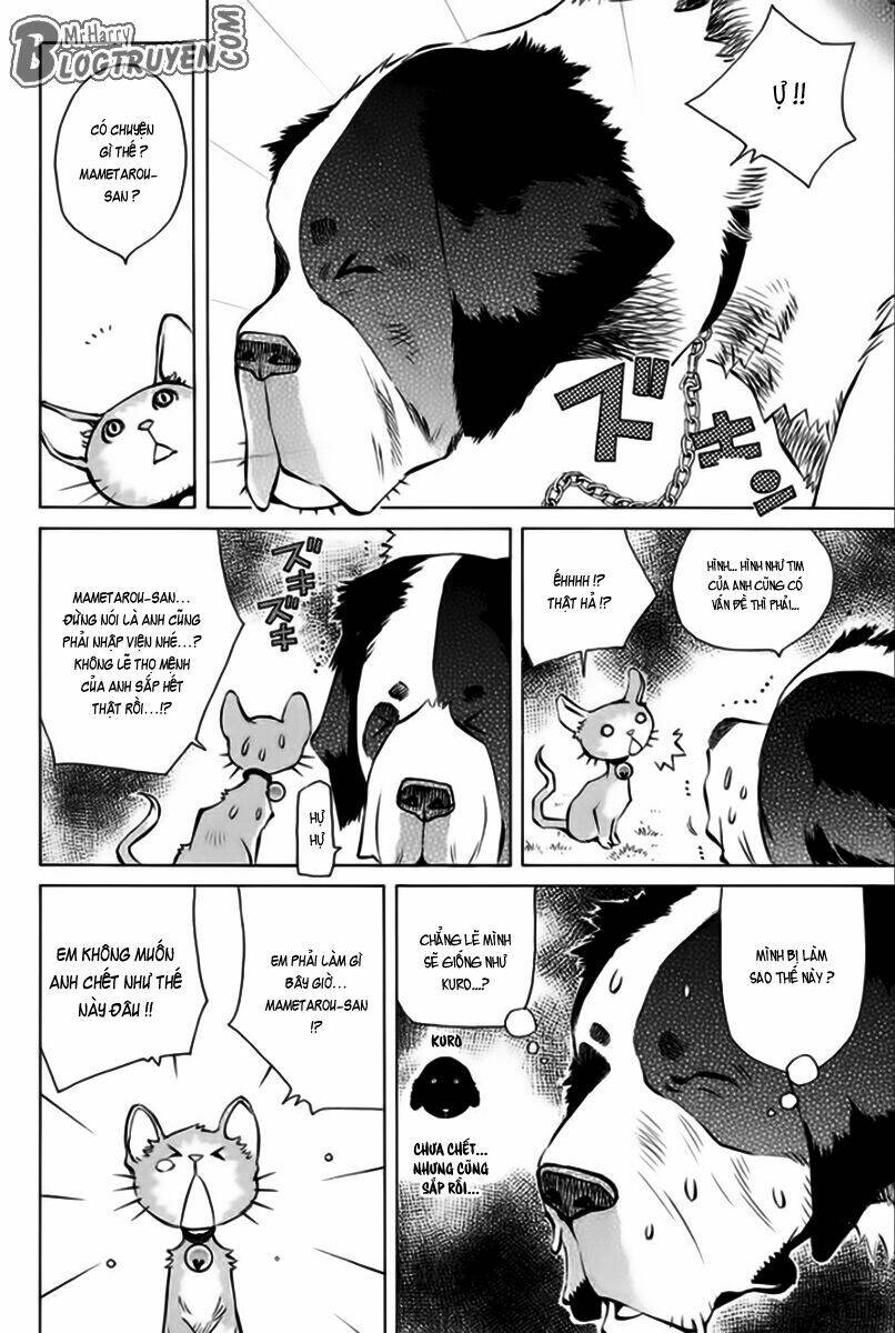 Pastel Chapter 166 - TC Truyện