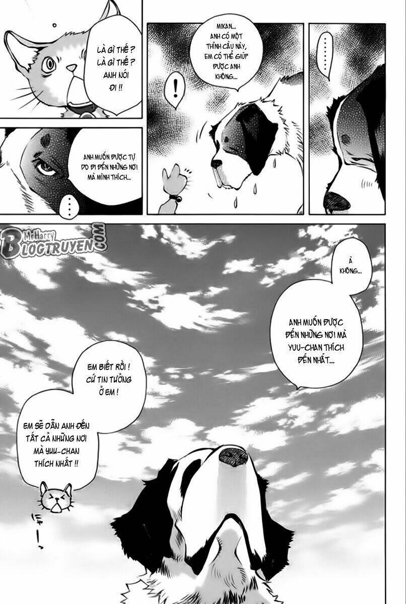 Pastel Chapter 166 - TC Truyện