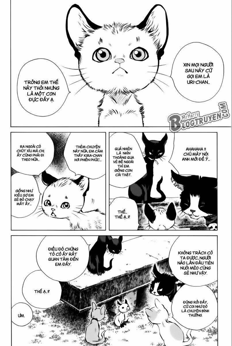 Pastel Chapter 177 - TC Truyện