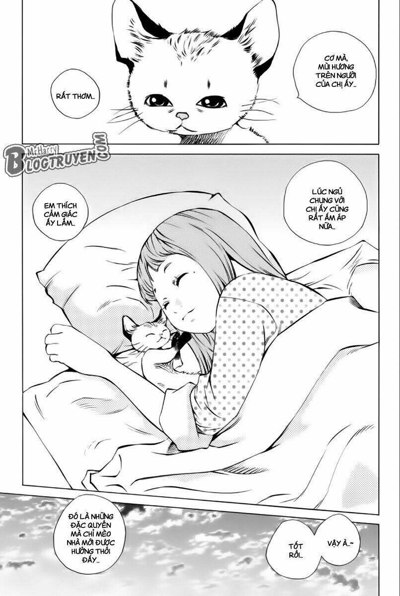 Pastel Chapter 177 - TC Truyện