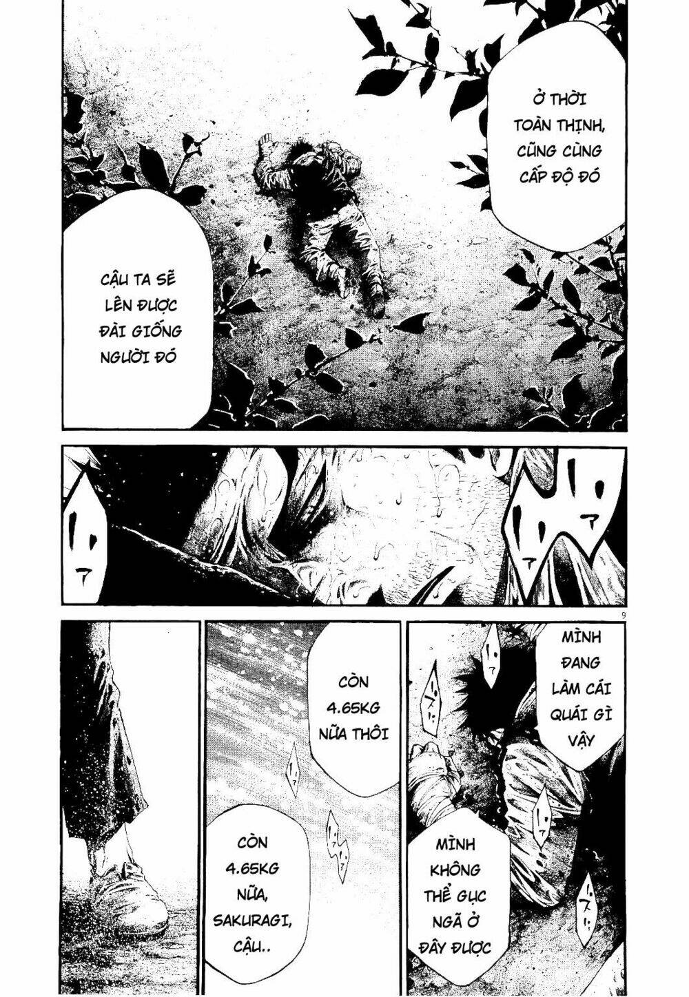 Rainbow Chapter 227 - TC Truyện