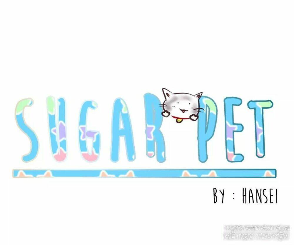 Sugar Pet Chapter 9 - AB Truyện