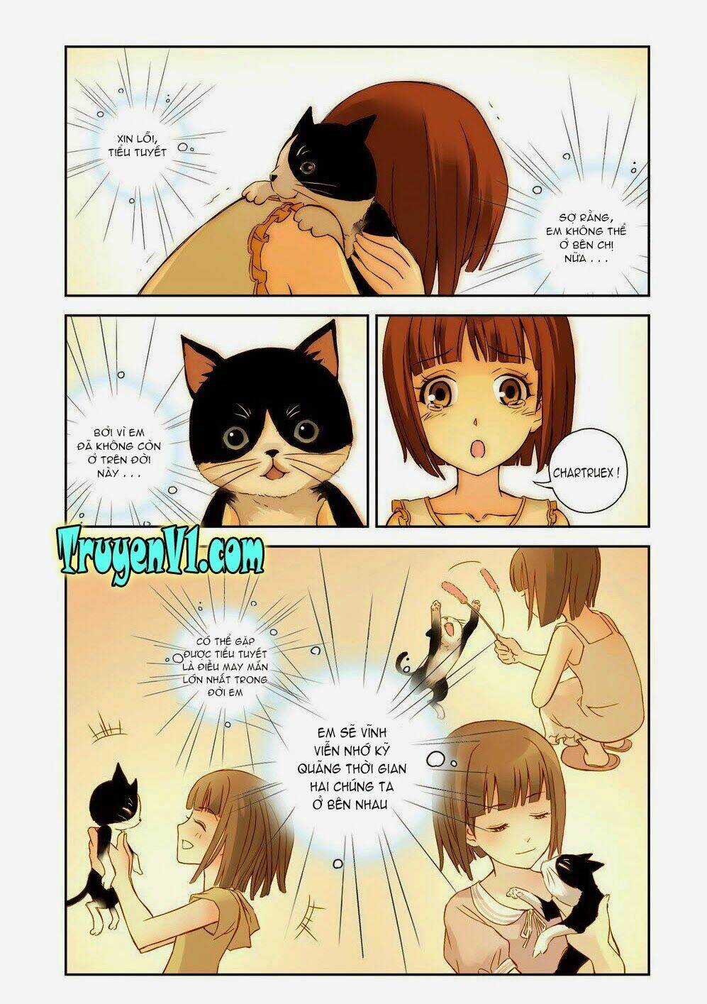 Soul-Toy Chapter 2 - TC Truyện