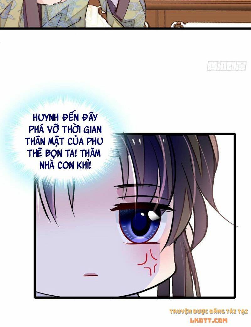 Tự Cẩm Chapter 182 - TC Truyện
