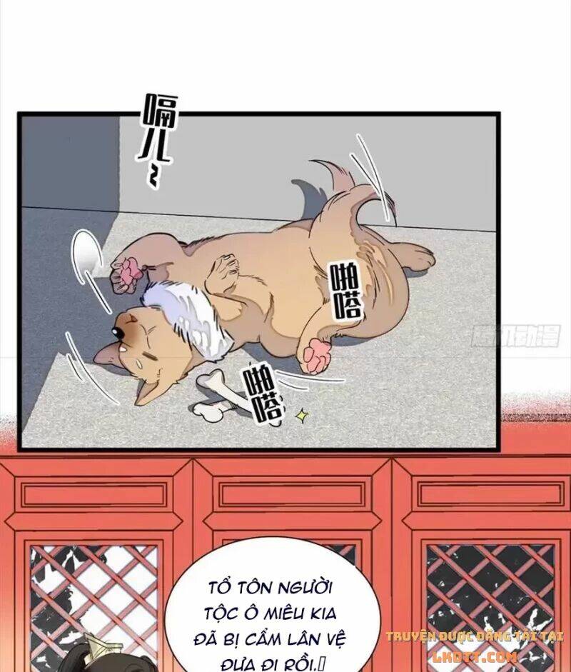 Tự Cẩm Chapter 197 - TC Truyện