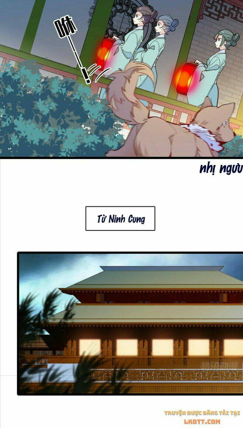 Tự Cẩm Chapter 198 - TC Truyện