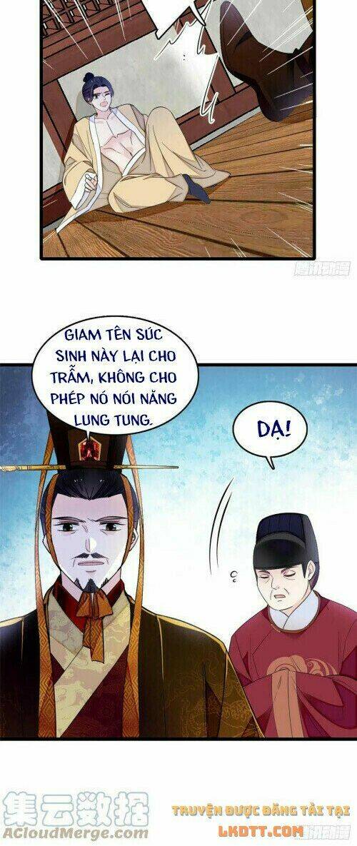 Tự Cẩm Chapter 178 - TC Truyện