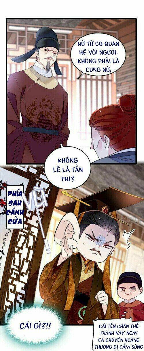 Tự Cẩm Chapter 178 - TC Truyện
