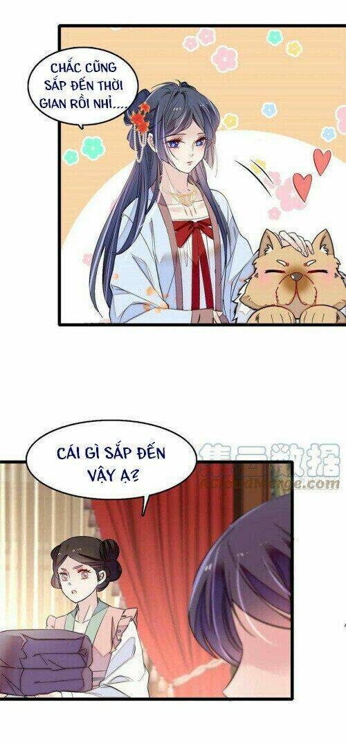 Tự Cẩm Chapter 178 - TC Truyện