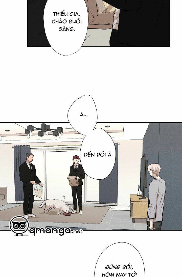 Trốn Tìm Chapter 19 - TC Truyện