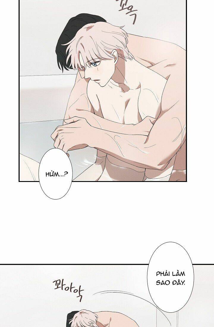 Trốn Tìm Chapter 28 - TC Truyện
