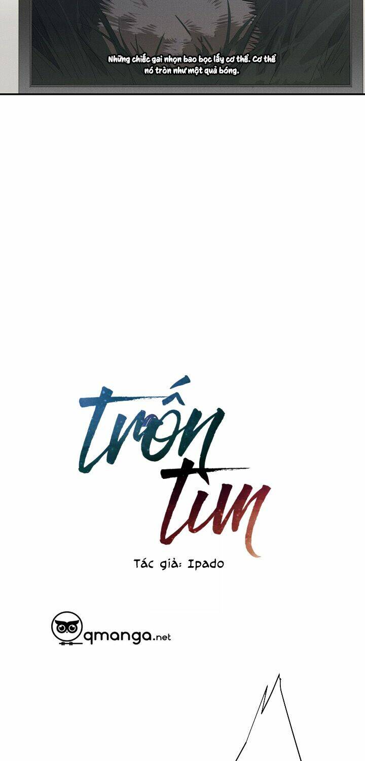 Trốn Tìm Chapter 5 - TC Truyện