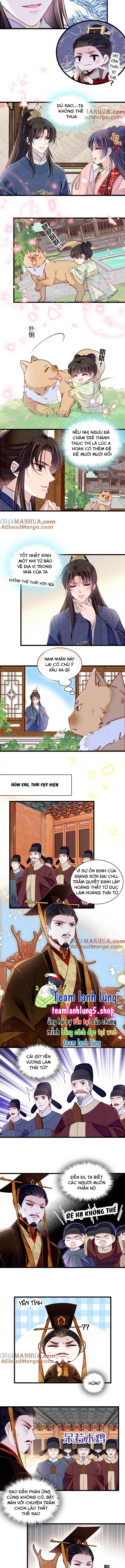 Tự Cẩm Chapter 353 Chapter 353 - AB Truyện